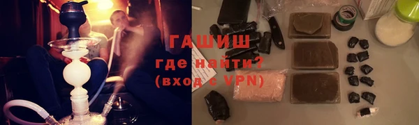 стаф Алзамай