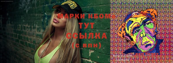 стаф Алзамай