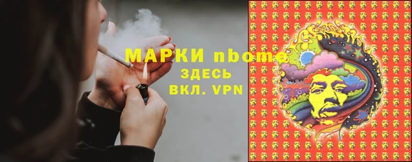 стаф Алзамай